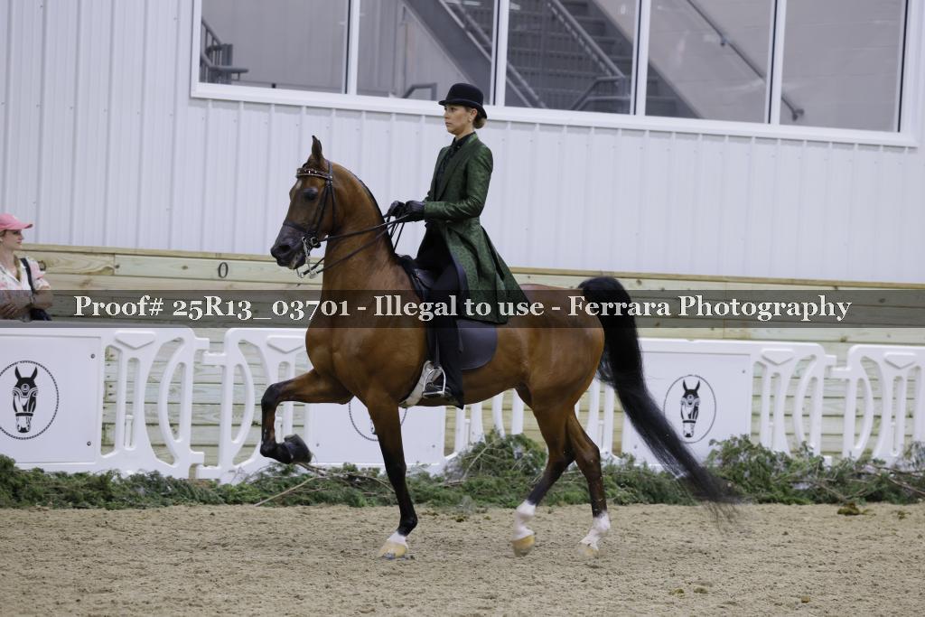 Proof Number 25R13_03701