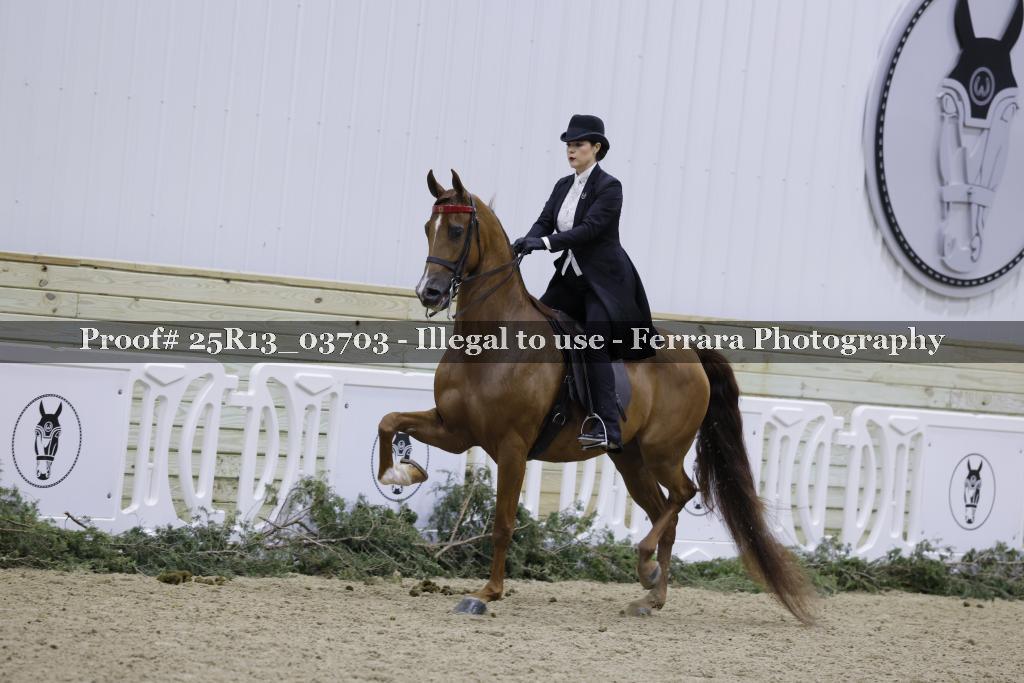 Proof Number 25R13_03703