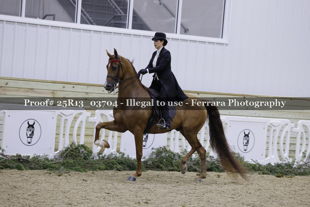 Proof Number 25R13_03704