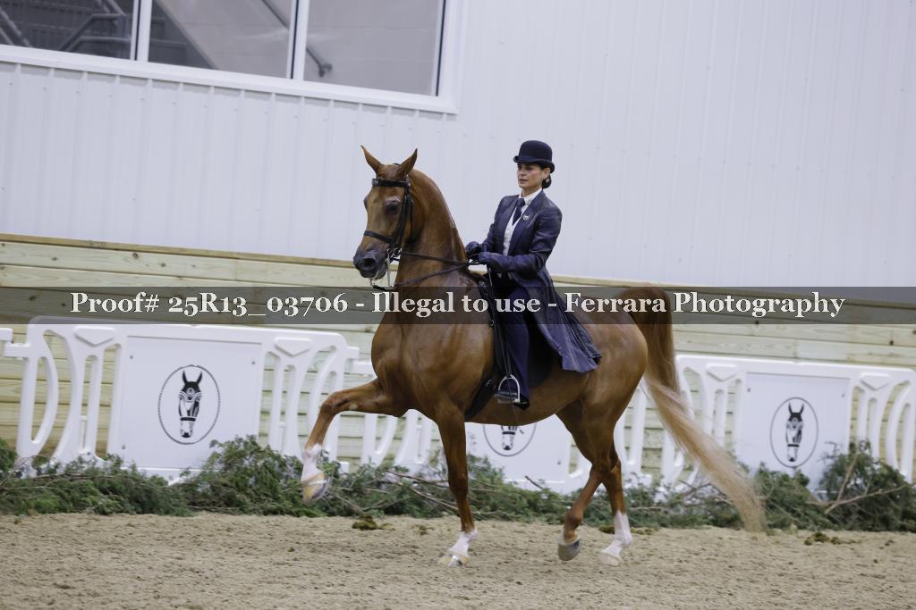 Proof Number 25R13_03706