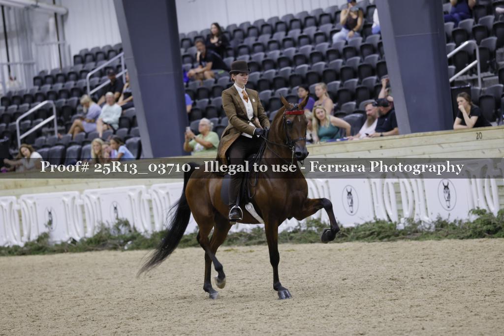 Proof Number 25R13_03710