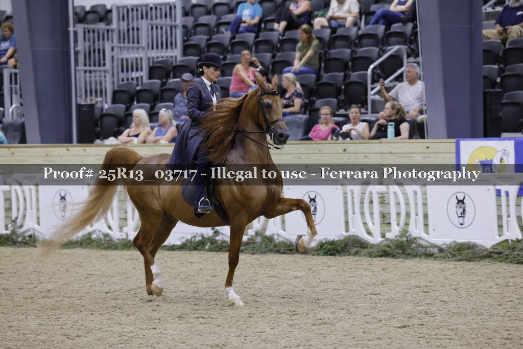 Proof Number 25R13_03717