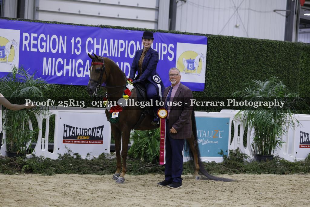 Proof Number 25R13_03731