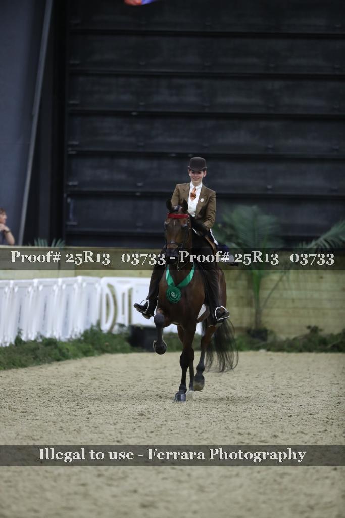 Proof Number 25R13_03733