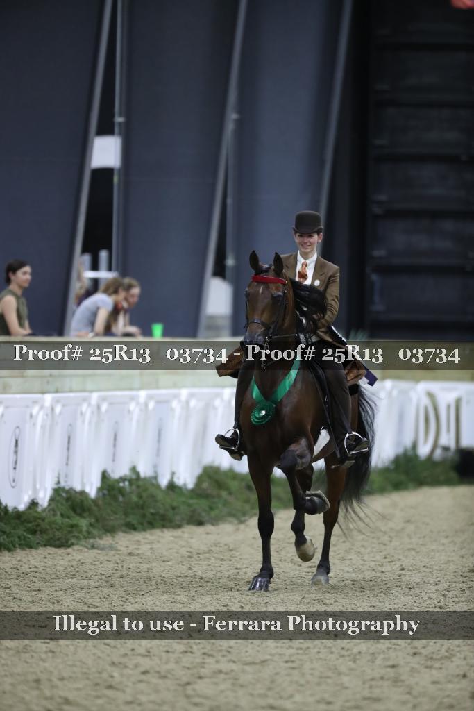 Proof Number 25R13_03734