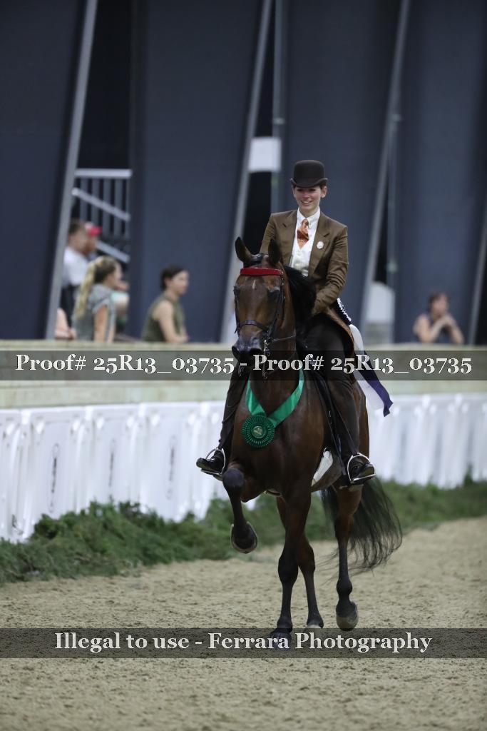 Proof Number 25R13_03735