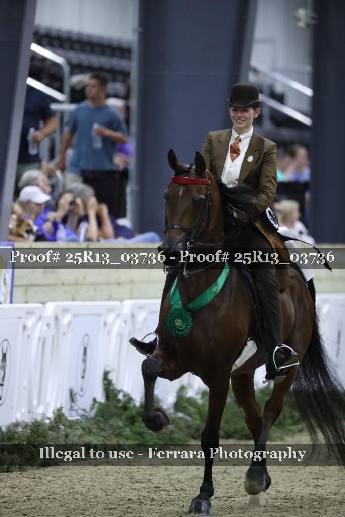 Proof Number 25R13_03736