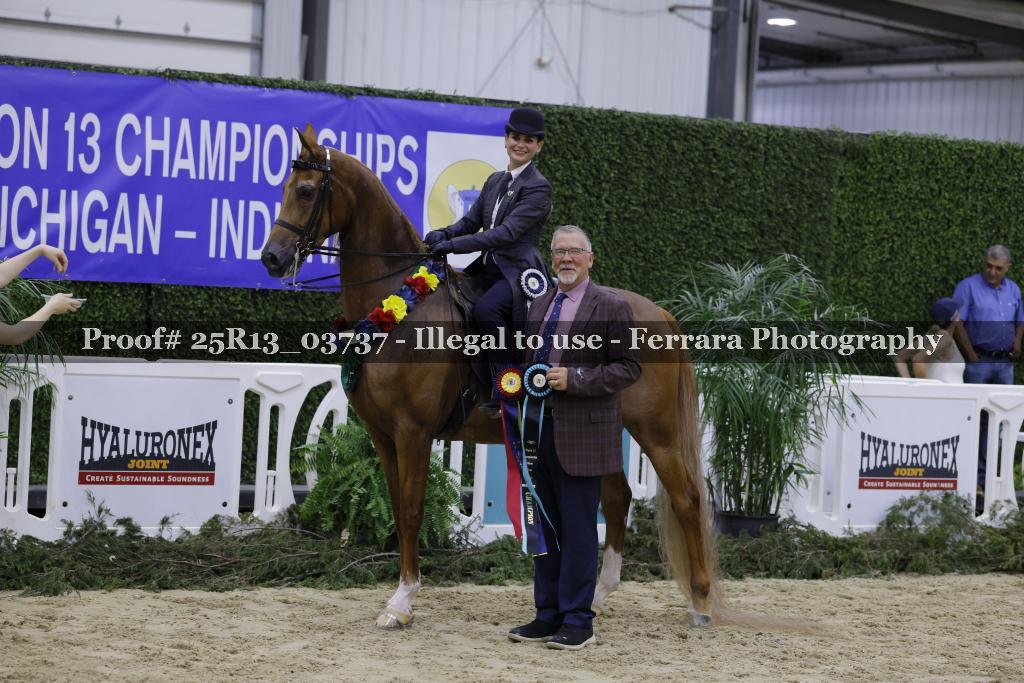 Proof Number 25R13_03737
