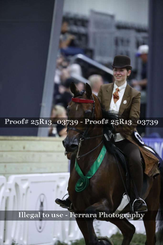 Proof Number 25R13_03739