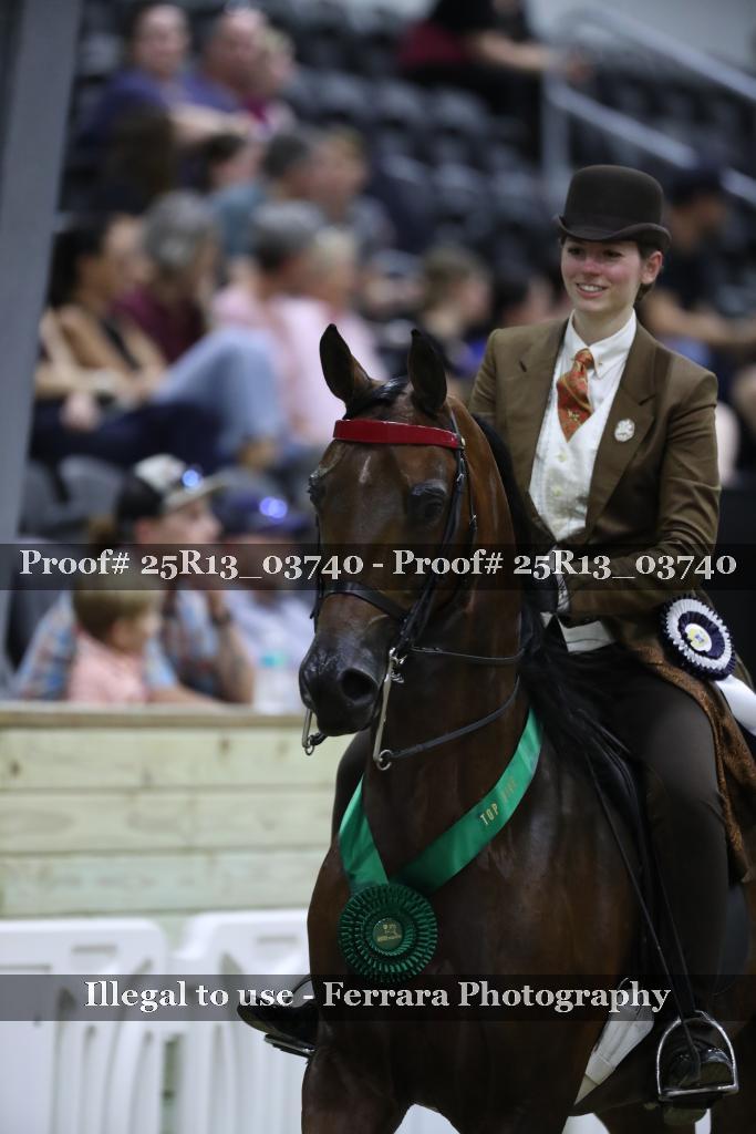 Proof Number 25R13_03740