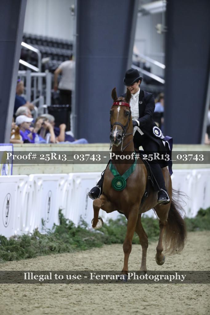 Proof Number 25R13_03743