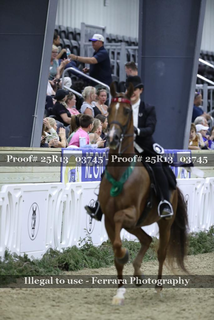 Proof Number 25R13_03745