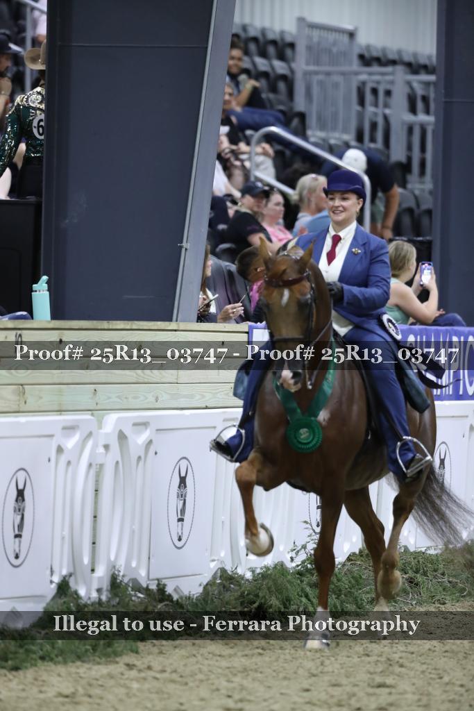 Proof Number 25R13_03747