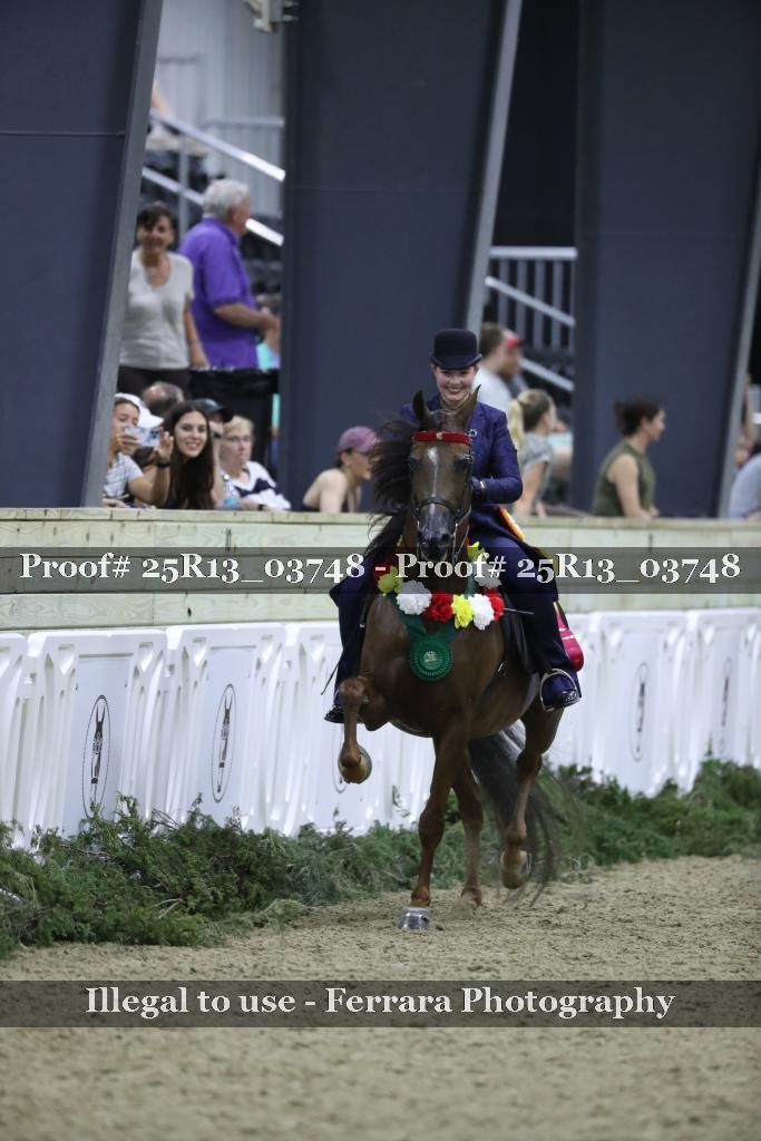 Proof Number 25R13_03748