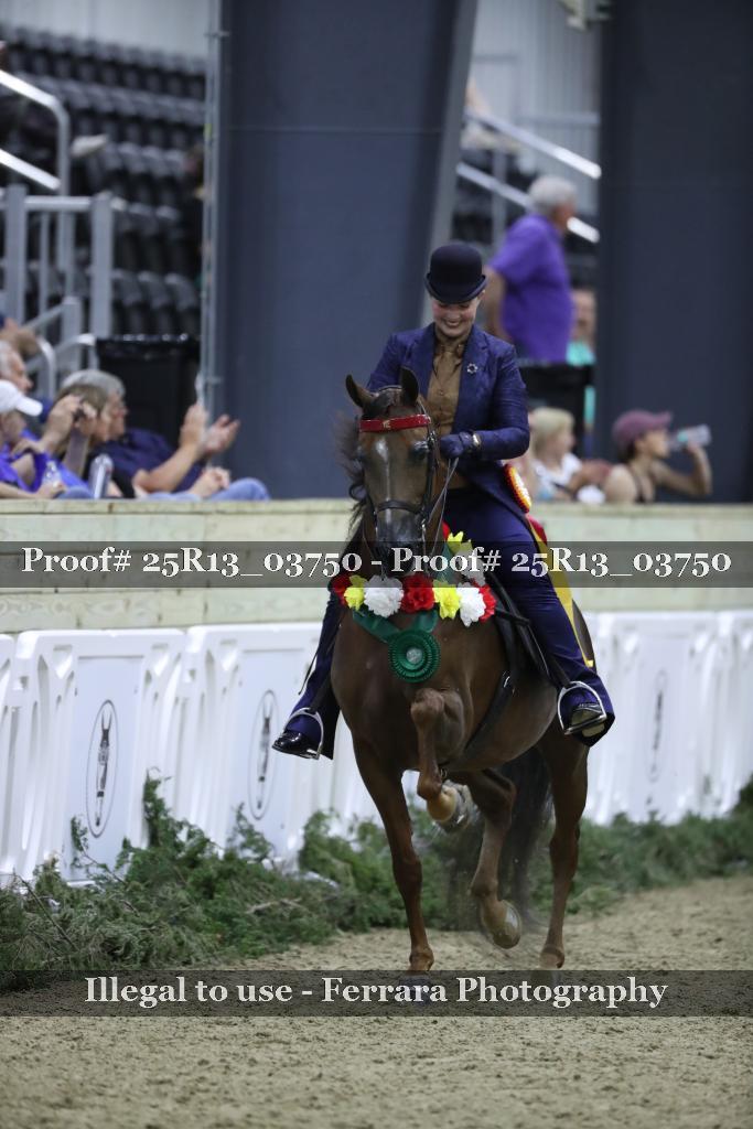 Proof Number 25R13_03750