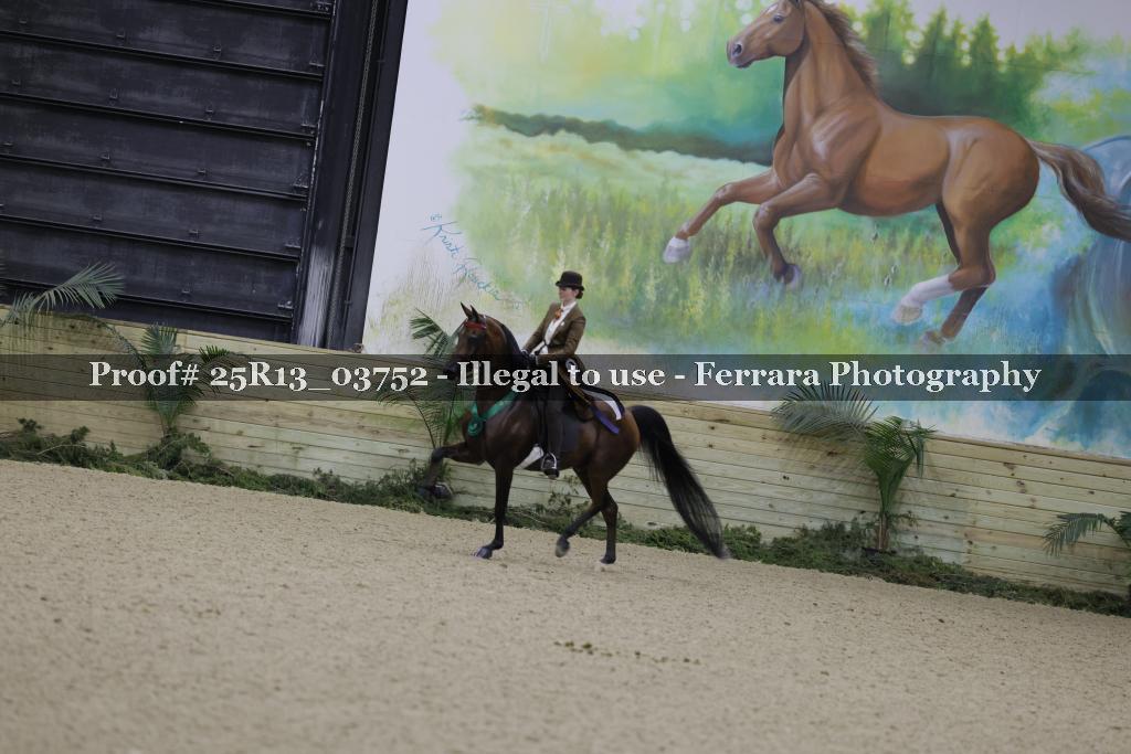 Proof Number 25R13_03752