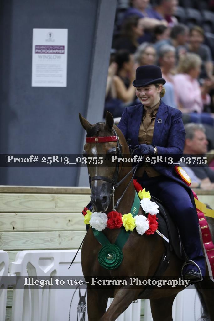 Proof Number 25R13_03755