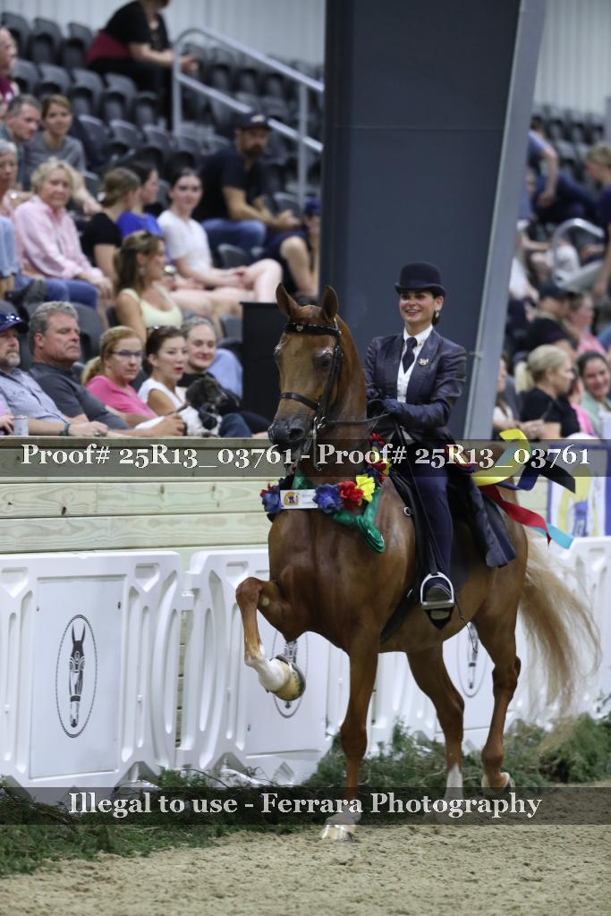 Proof Number 25R13_03761