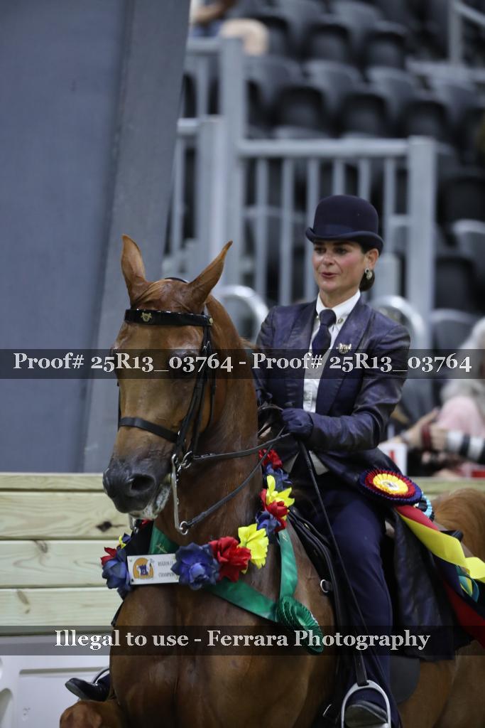 Proof Number 25R13_03764