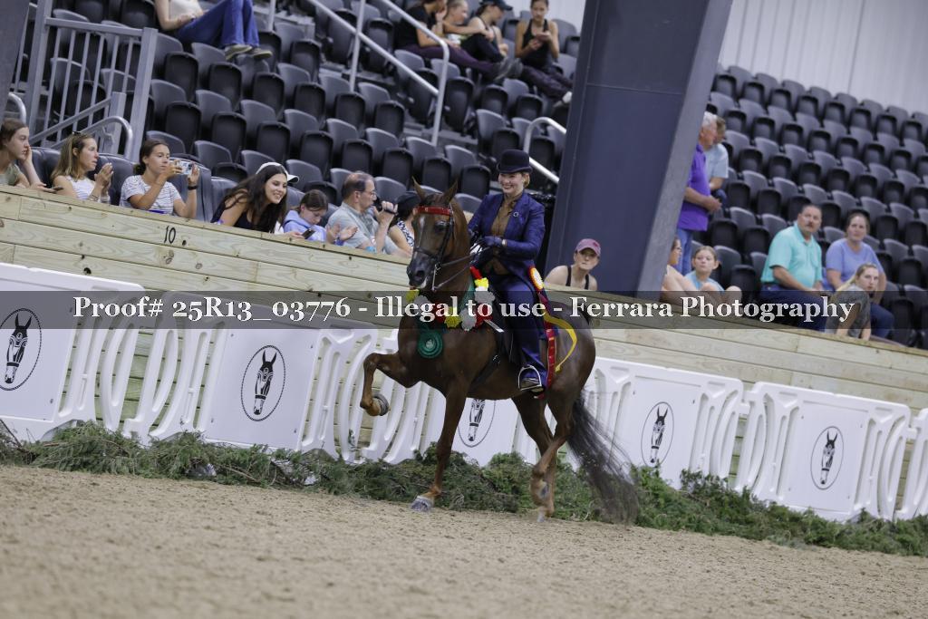 Proof Number 25R13_03776