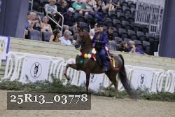 25R13_03778 thumbnail