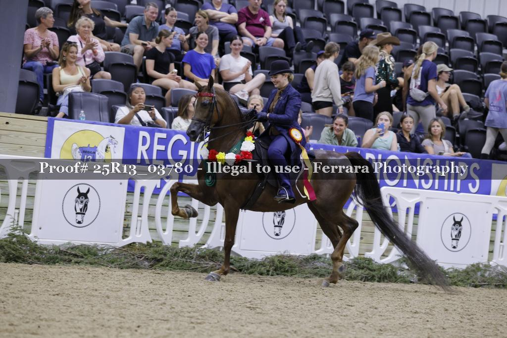 Proof Number 25R13_03780