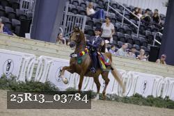 25R13_03784 thumbnail