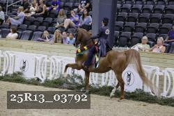 25R13_03792 thumbnail