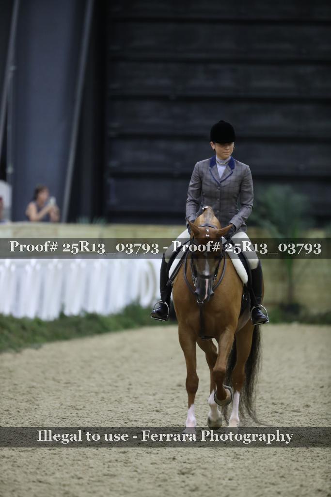 Proof Number 25R13_03793