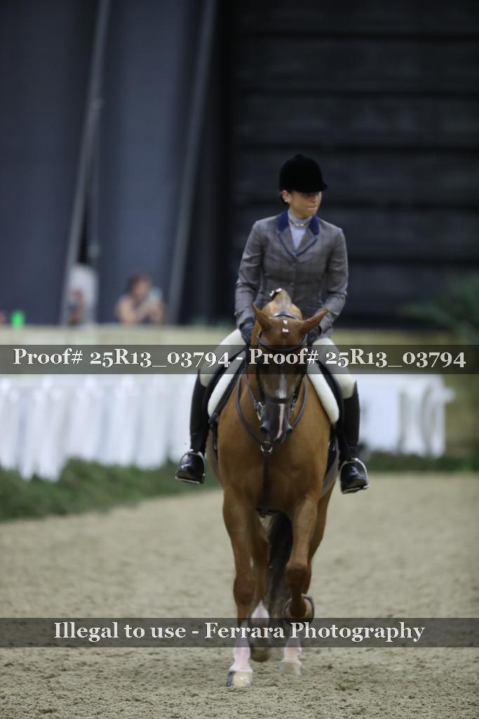 Proof Number 25R13_03794