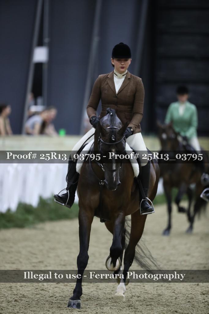 Proof Number 25R13_03795