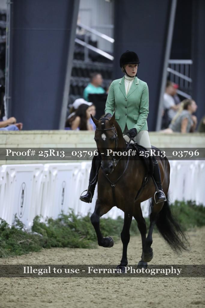 Proof Number 25R13_03796