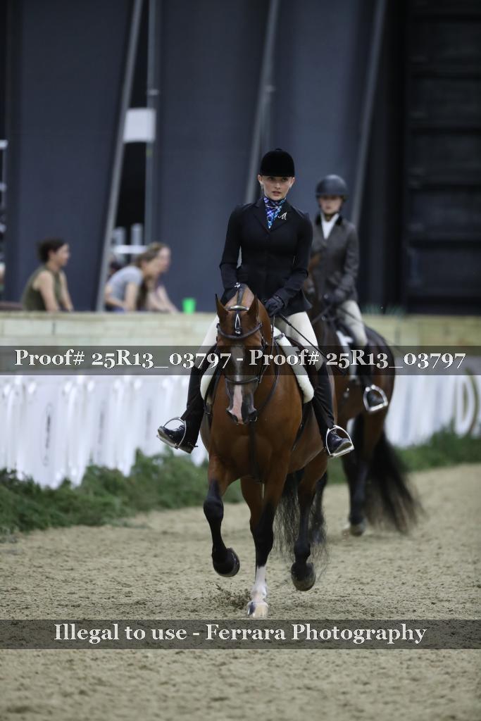Proof Number 25R13_03797