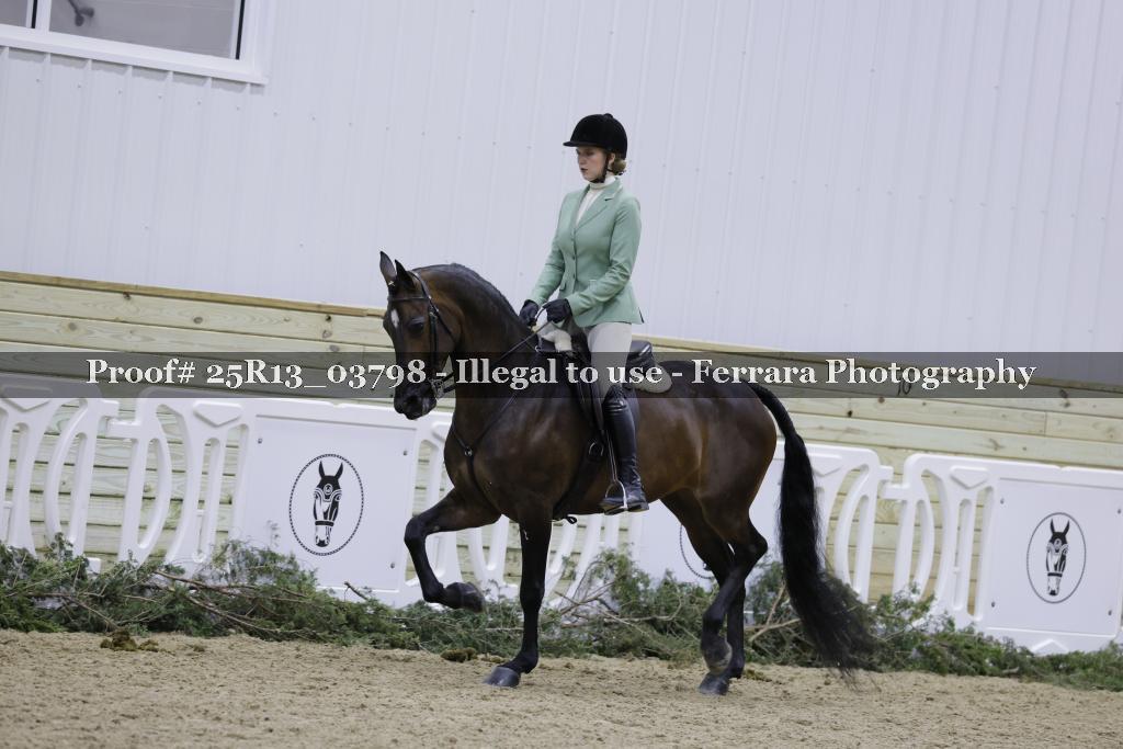 Proof Number 25R13_03798