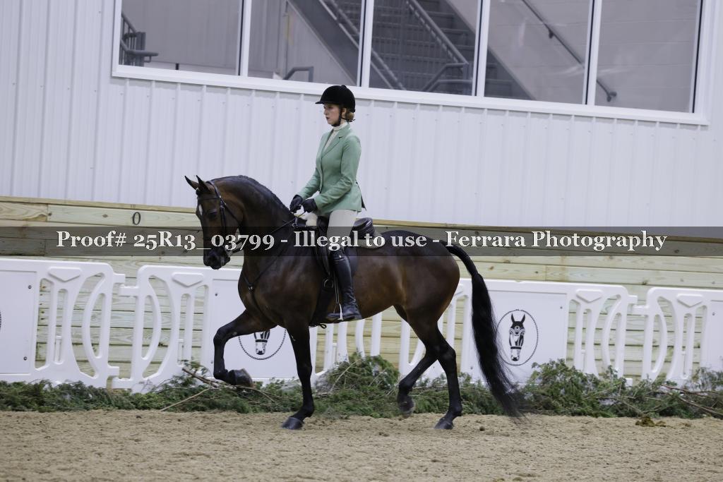 Proof Number 25R13_03799