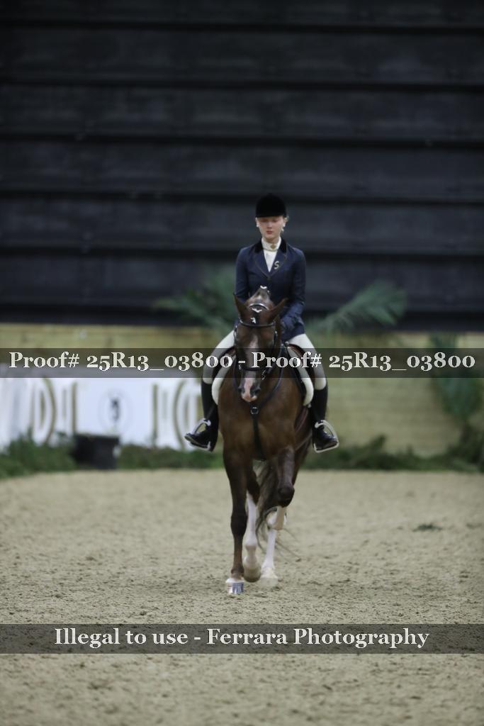 Proof Number 25R13_03800