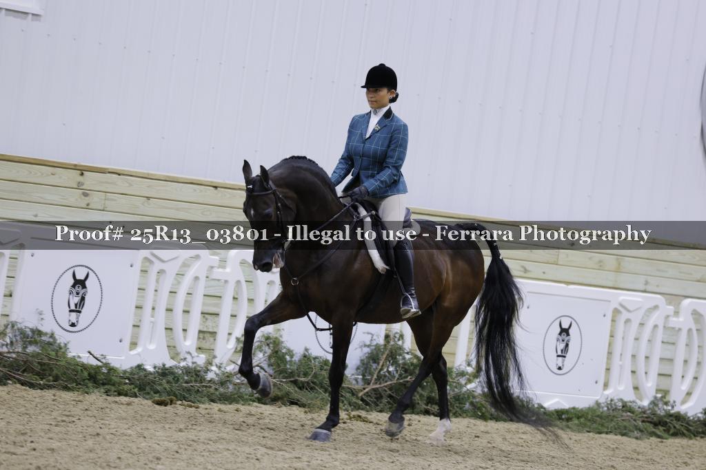 Proof Number 25R13_03801