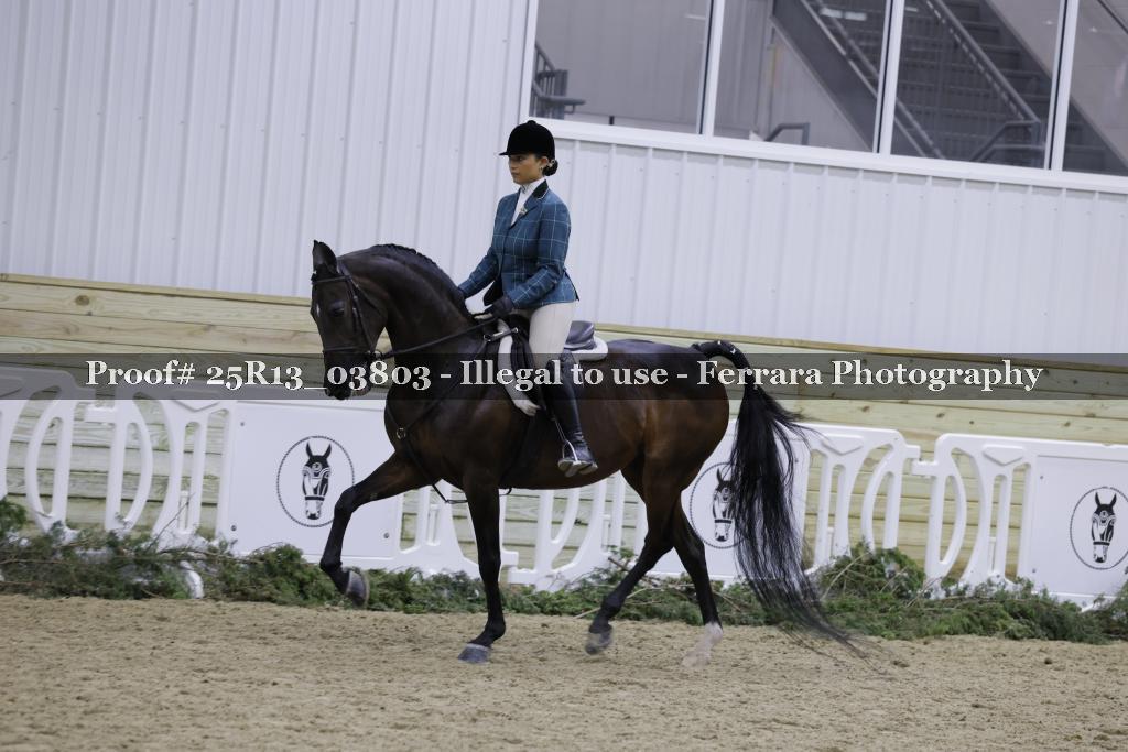Proof Number 25R13_03803