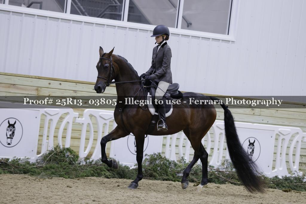 Proof Number 25R13_03805