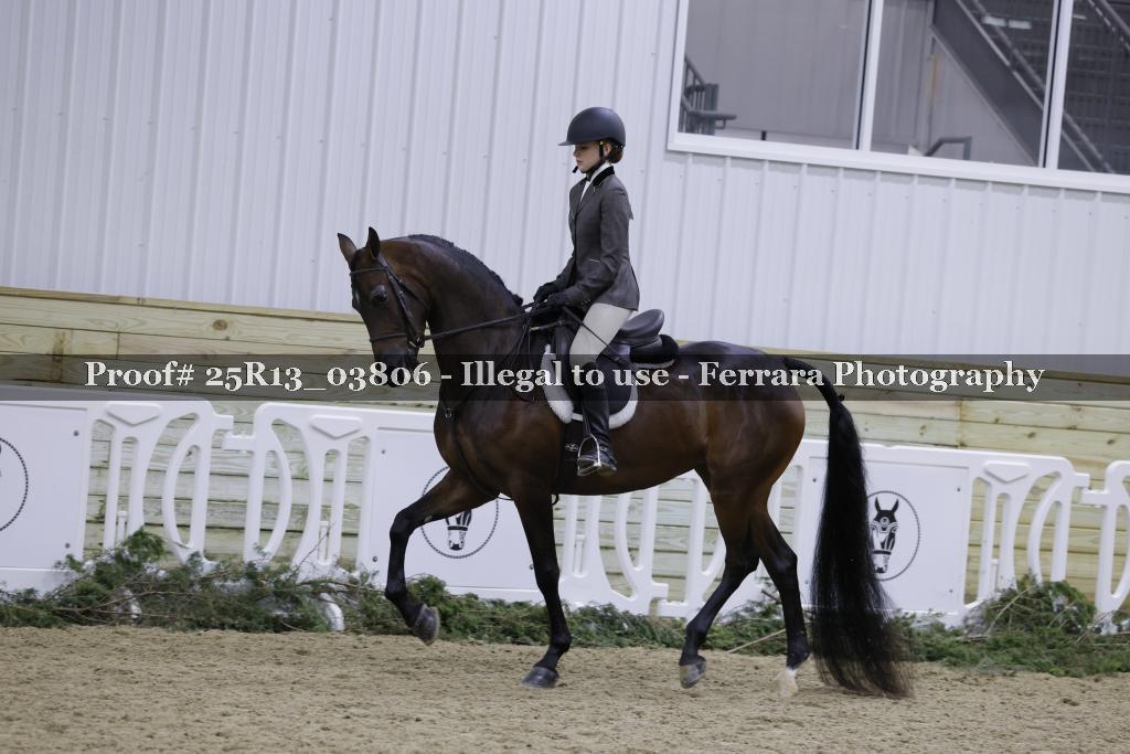 Proof Number 25R13_03806