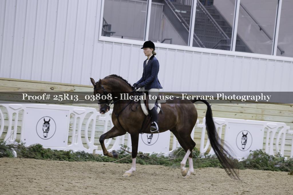 Proof Number 25R13_03808