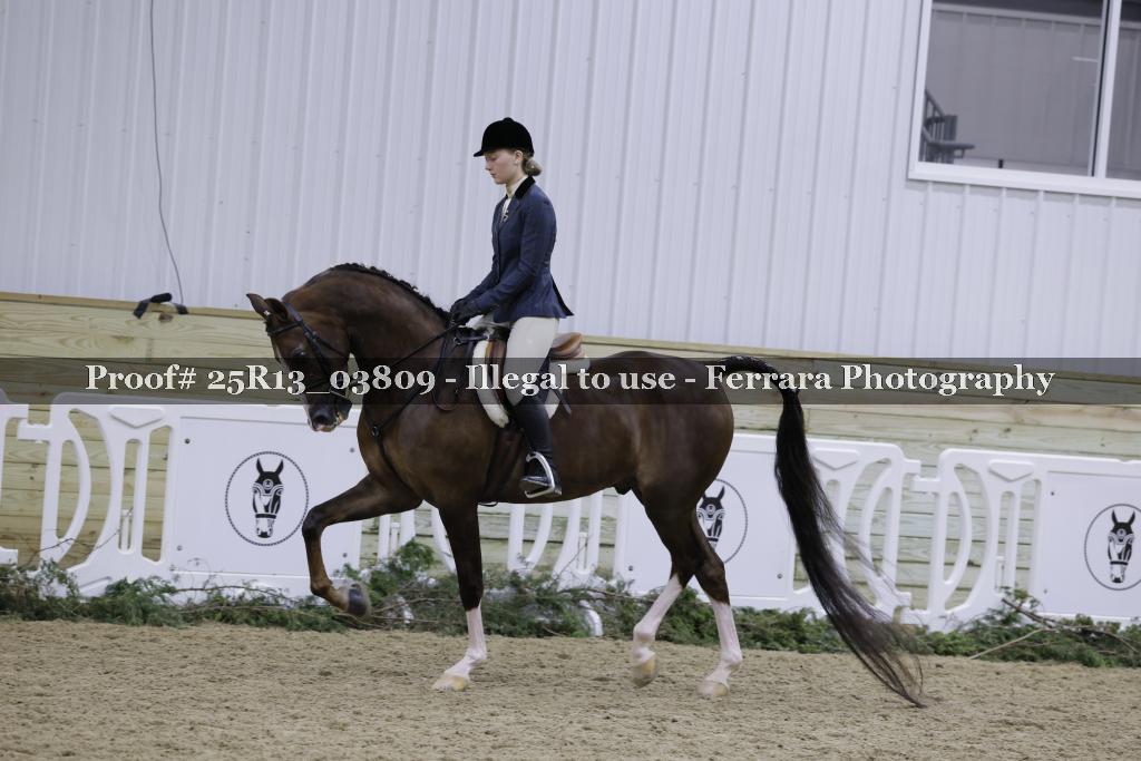 Proof Number 25R13_03809