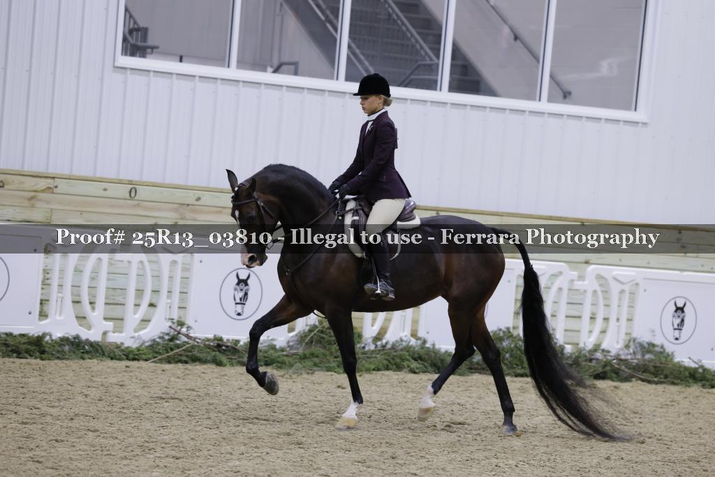Proof Number 25R13_03810