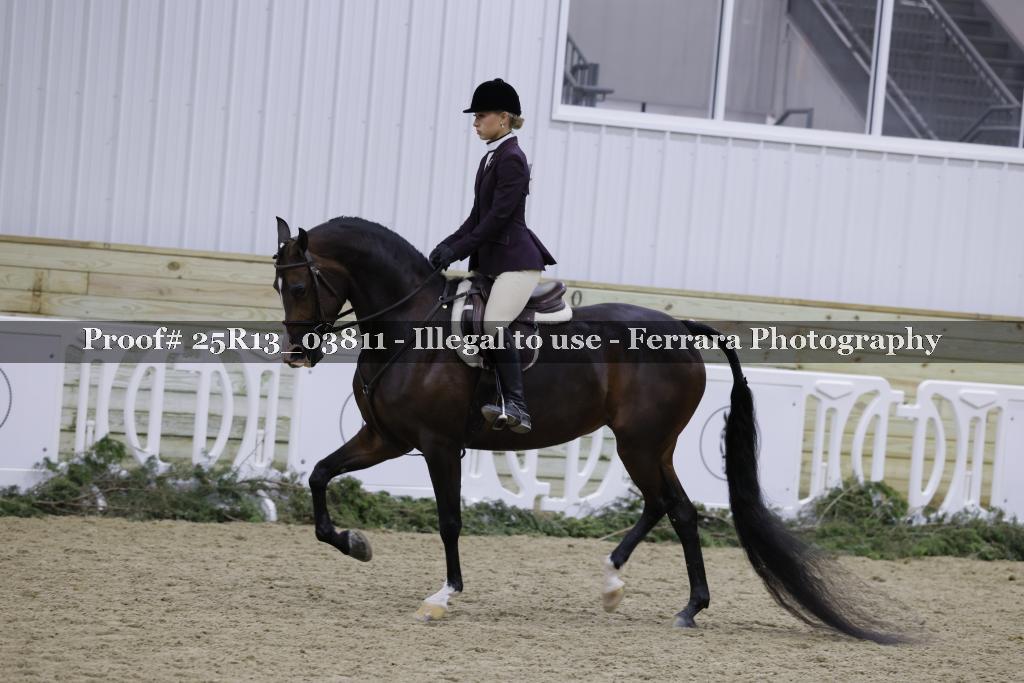 Proof Number 25R13_03811