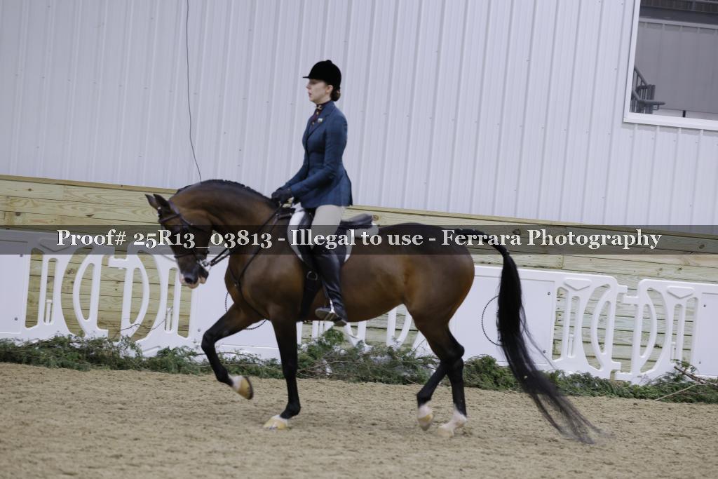 Proof Number 25R13_03813