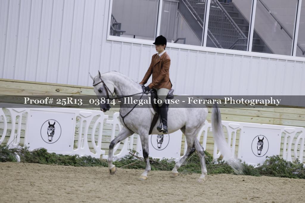 Proof Number 25R13_03814