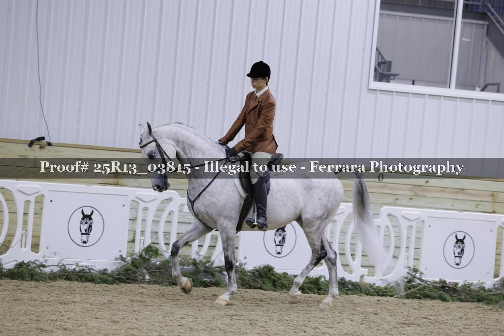 Proof Number 25R13_03815
