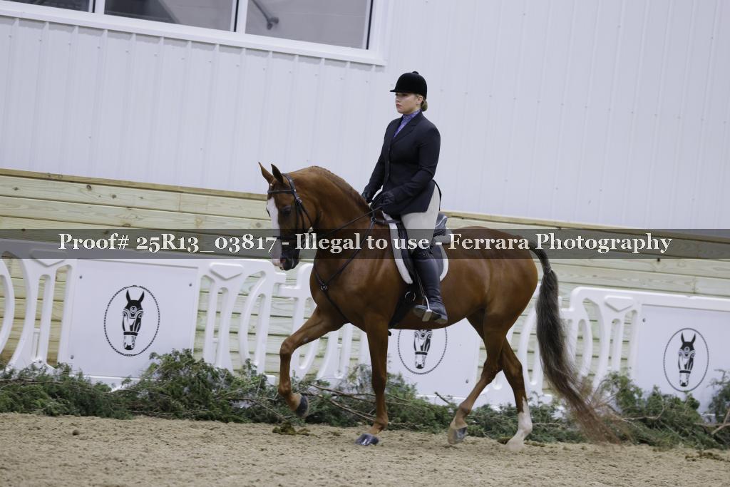 Proof Number 25R13_03817