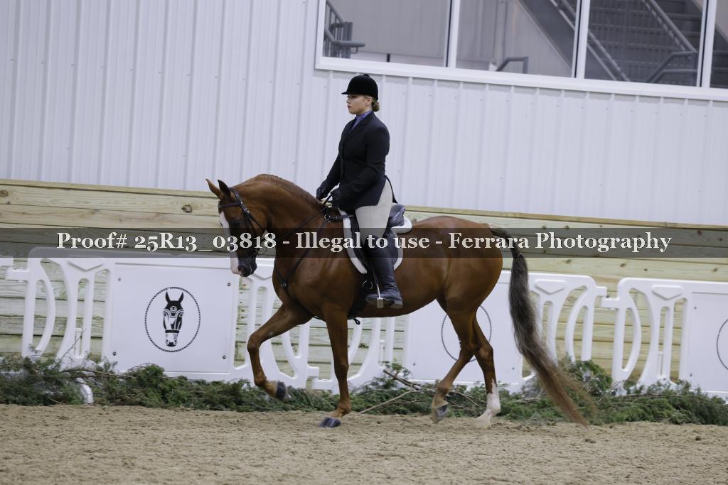 Proof Number 25R13_03818