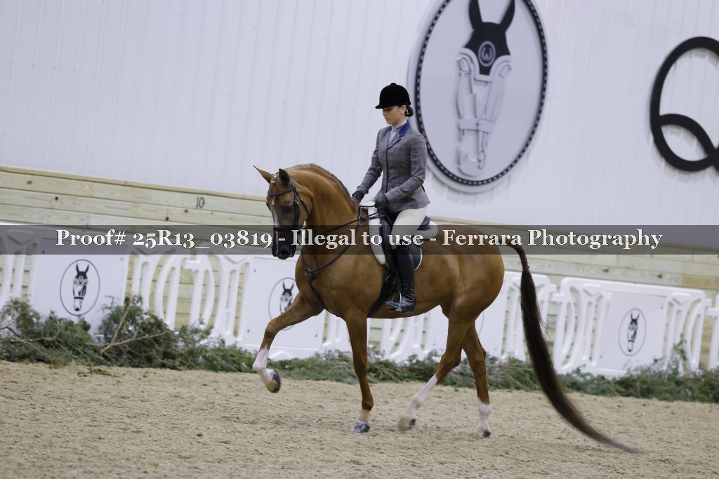 Proof Number 25R13_03819